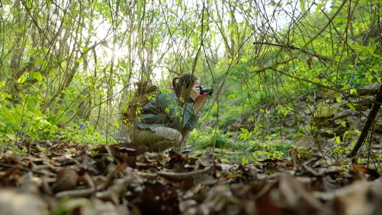 Woman crouching in forest taking photos